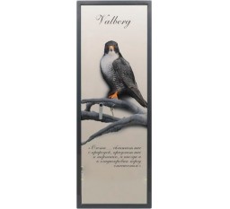 Оружейный взломостойкий сейф VALBERG Сапсан-4 Графит Print