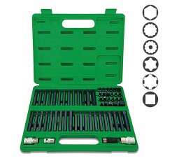 Набор бит TORX, HEX, SPLINE, RIBE, SQ УХЛ-МАШ GCAI6003 60 единиц