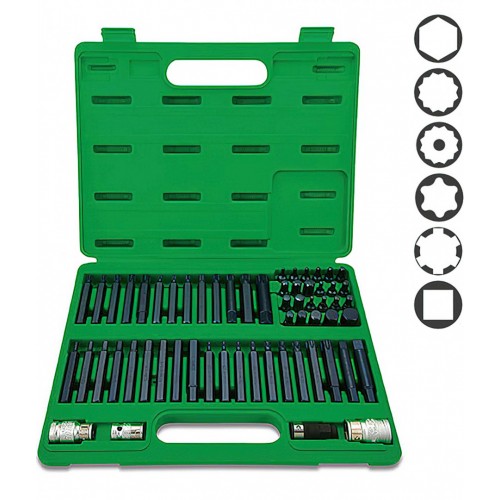 Набор бит TORX, HEX, SPLINE, RIBE, SQ УХЛ-МАШ GCAI6003 60 единиц