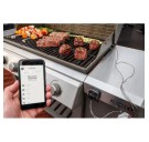 Термометр iGrill-3 Daddy Smoke Weber