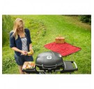 Электрический гриль Daddy Smoke Napoleon TravelQ PRO285E на подставке - PRO285E-PAKET