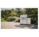 Газовый гриль Daddy Smoke Weber SUMMIT FS 38X E SMART