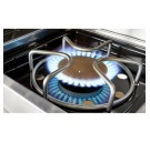 Газовый гриль Daddy Smoke Weber Summit S-470 GBS