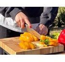 Торцевая доска для шинковки и подачи пищи BonaGrill 30х40